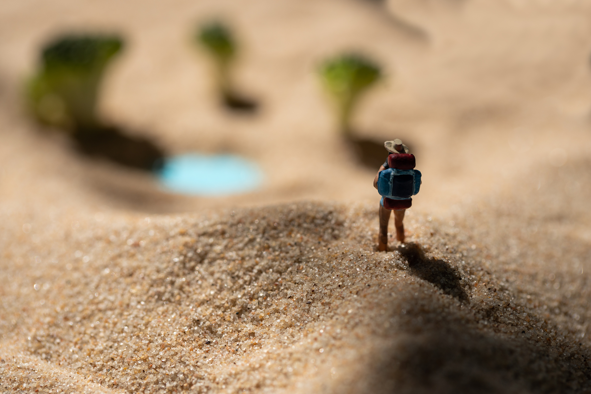 沙砾形容人是什么意思？深度解析沙砾的褒贬含义