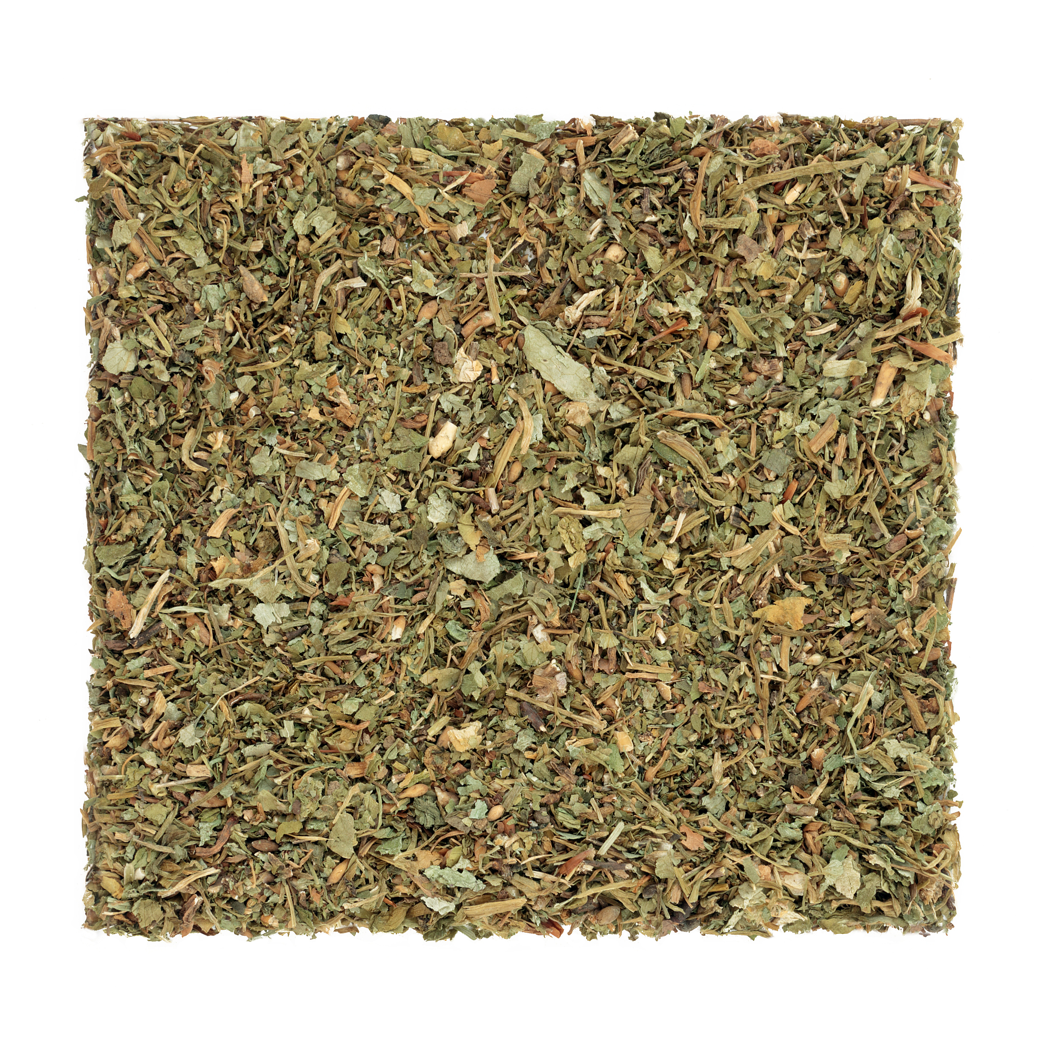 广西中医药大学赛恩斯新医药学院针灸推拿学专业优势及发展前景