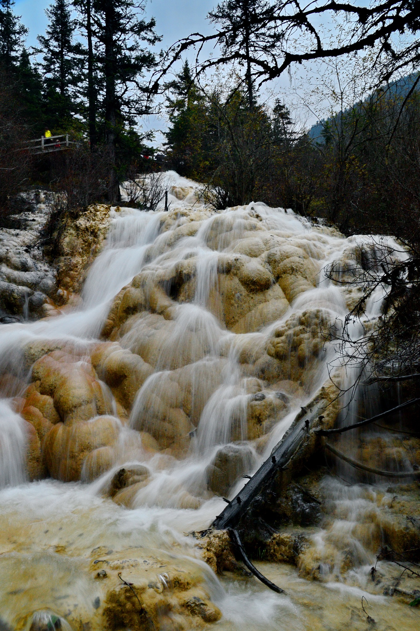 山西旅游职业学院景区开发与管理专业课程设置有哪些