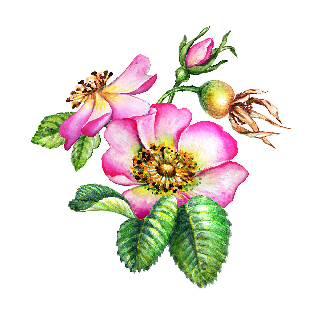 云南艺术学校怎么样好不好