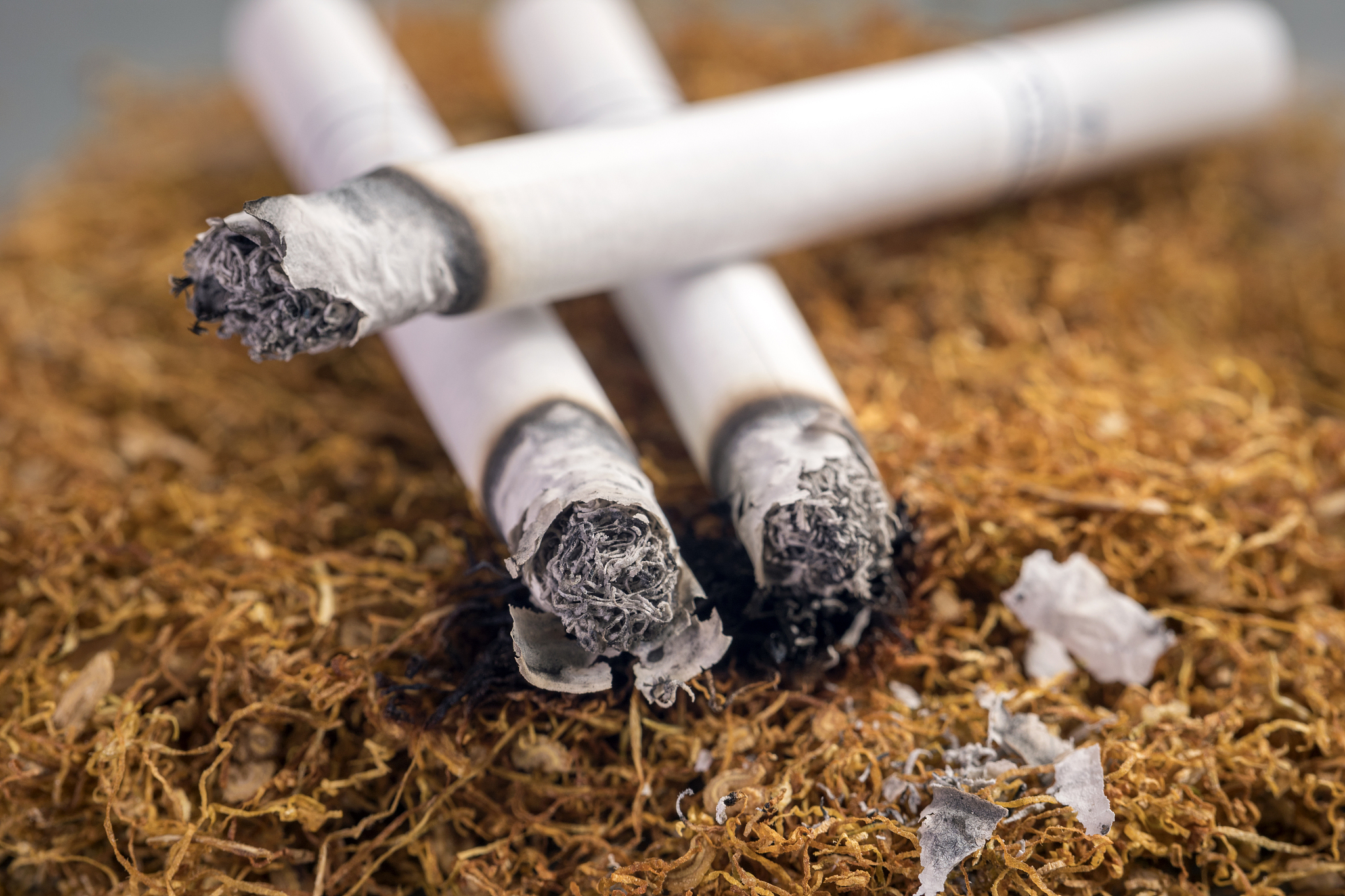 兰州城市学院2019招生办电话及联系方式 - 报考指南