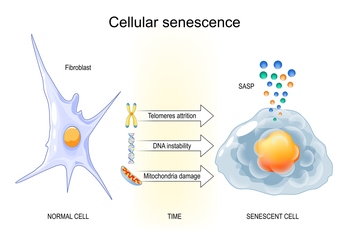 Nanoparticle Catalysts: A Comprehensive Branch of Science