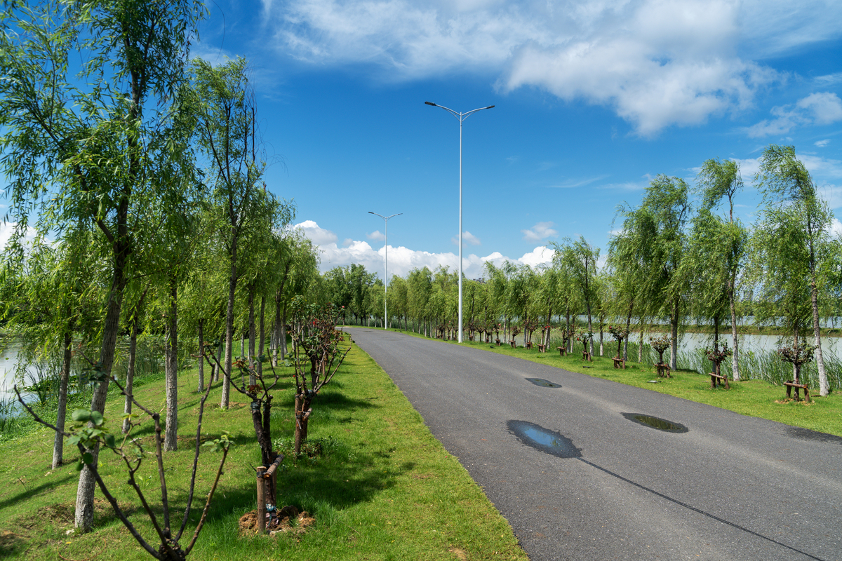 安徽铜陵西湖新区市政道路绿化带景观设计研究