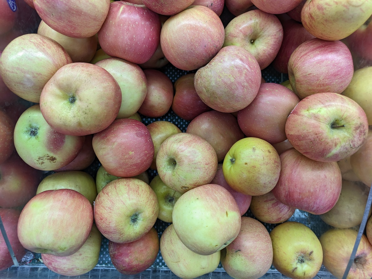 洛川苹果口感特点：酸甜适中、脆嫩多汁