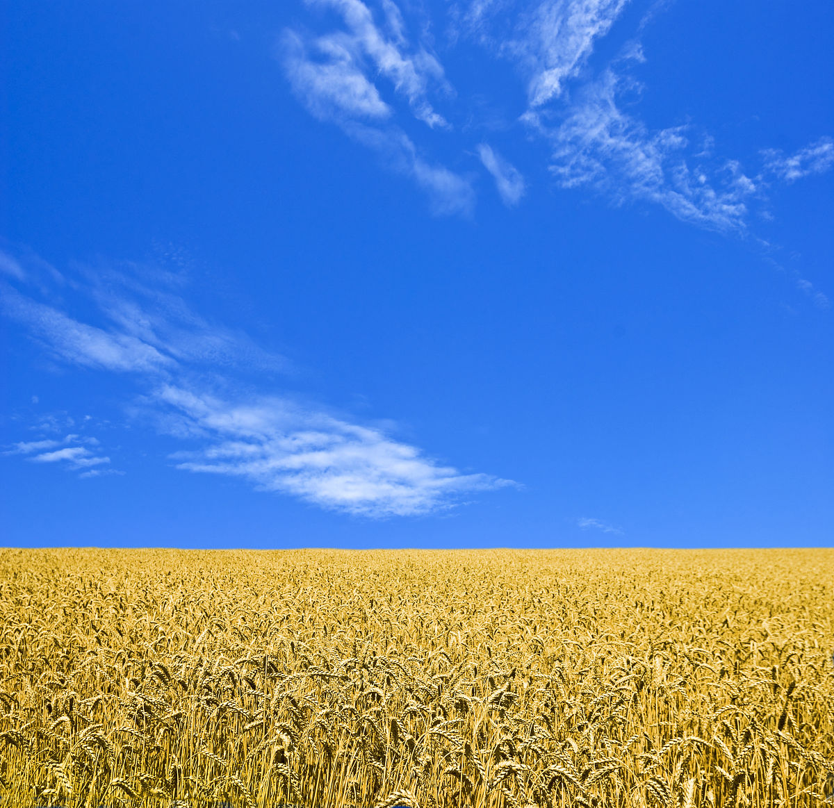 重庆农业学校的院校办学层次