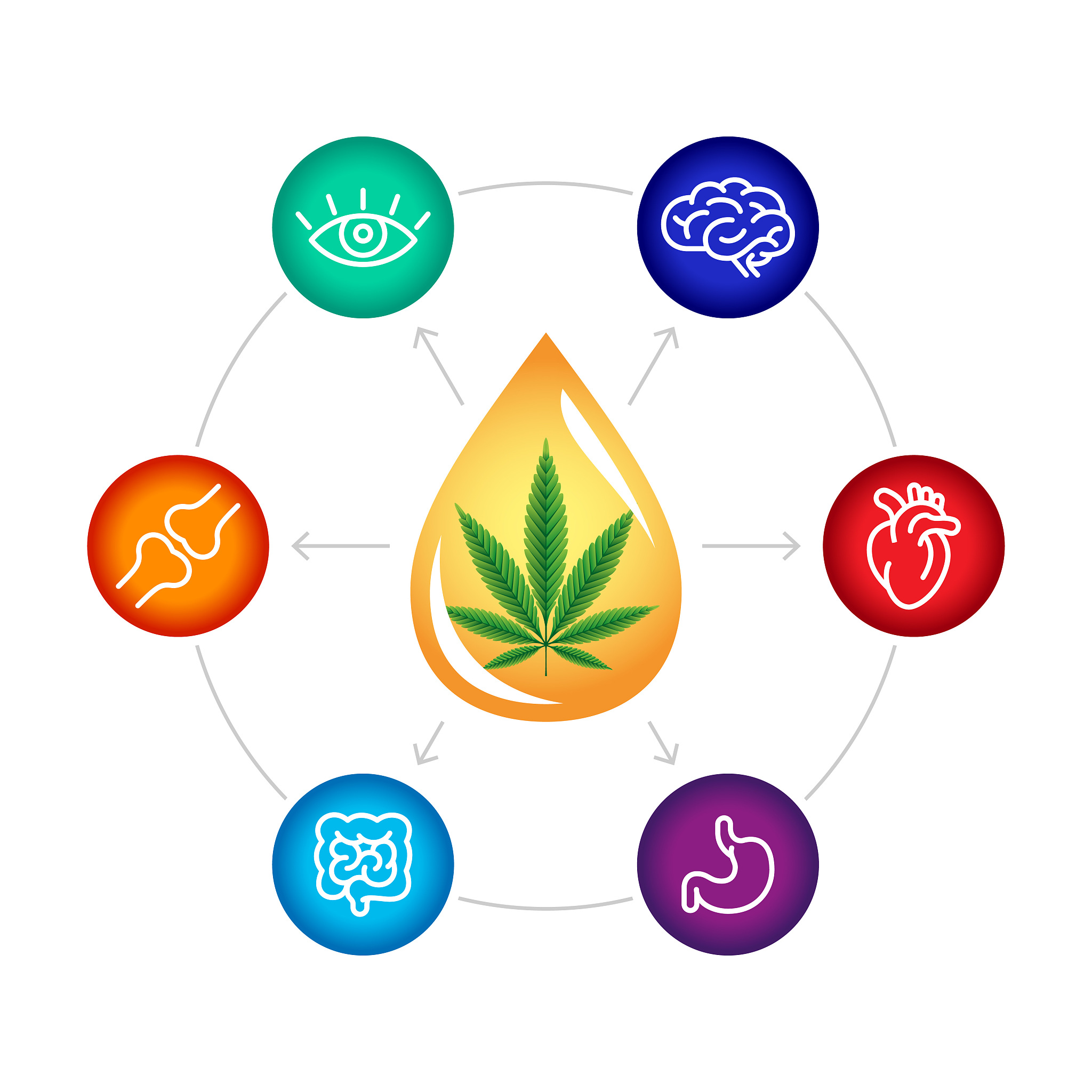 植物多糖有什么用