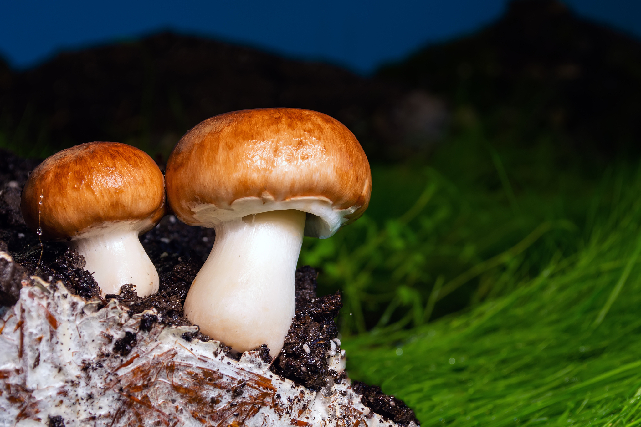 北海卫生学校2021年招生专业有哪些