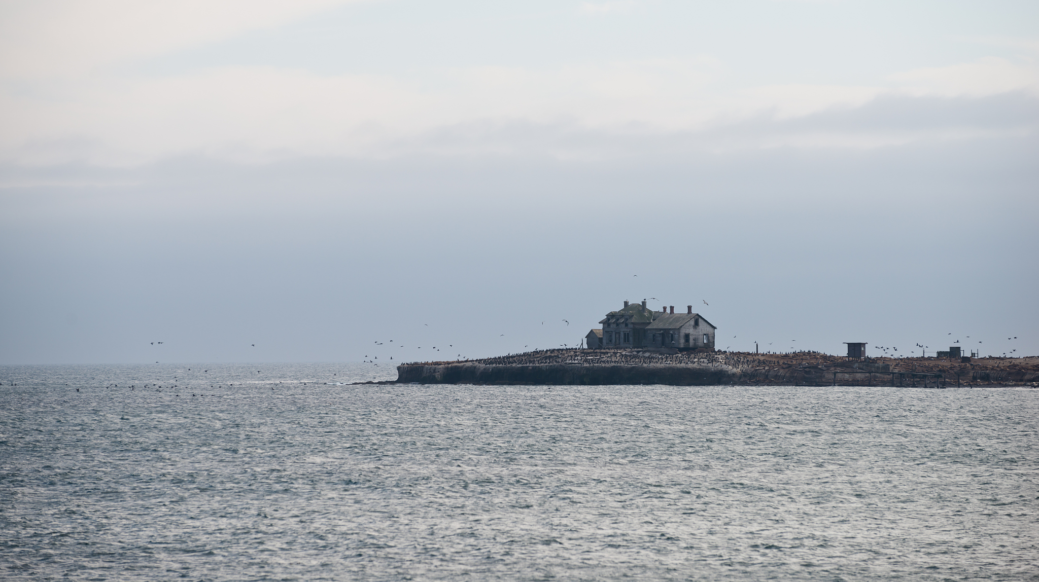 ano nuevo state park