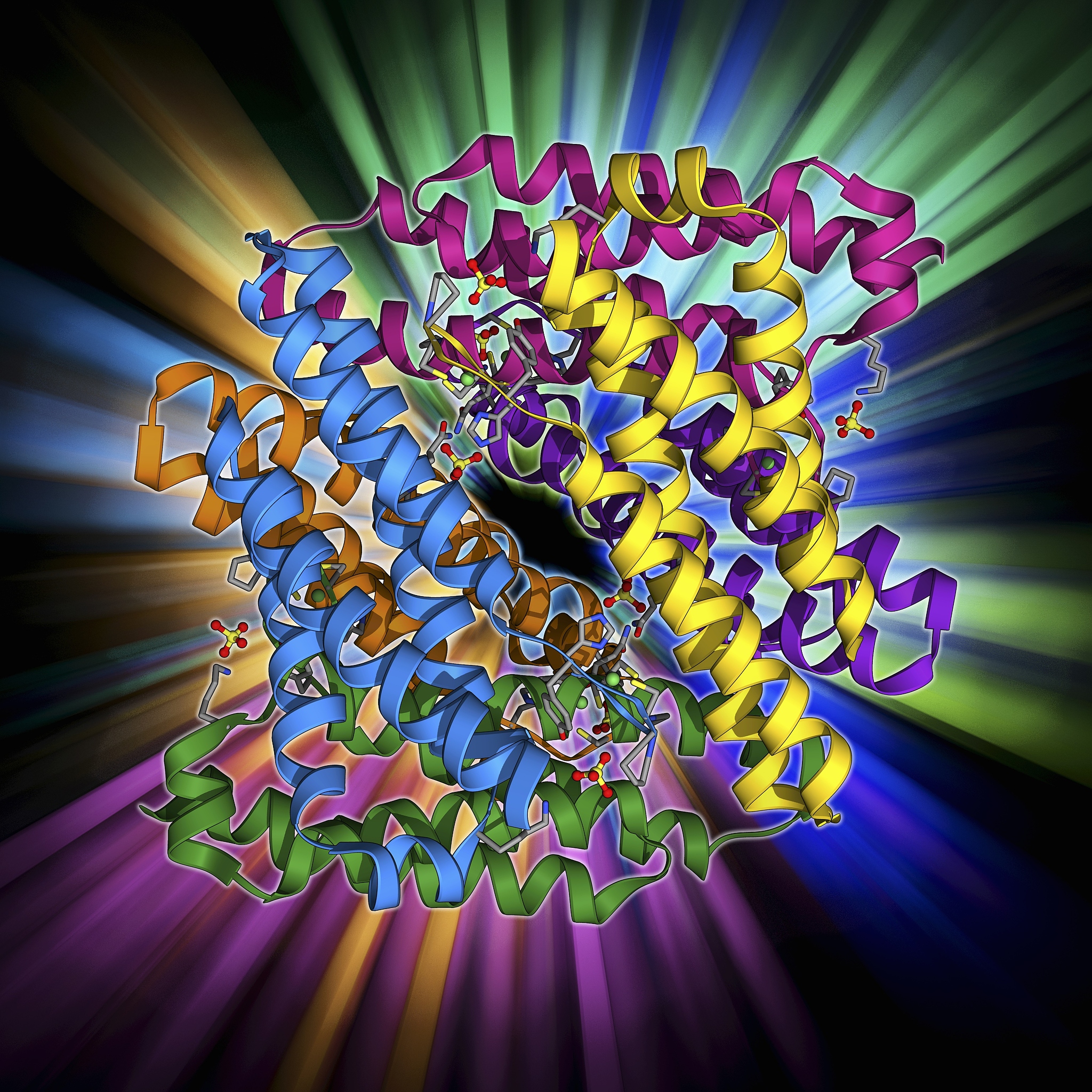 第三代分子标记技术详解：原理与应用
