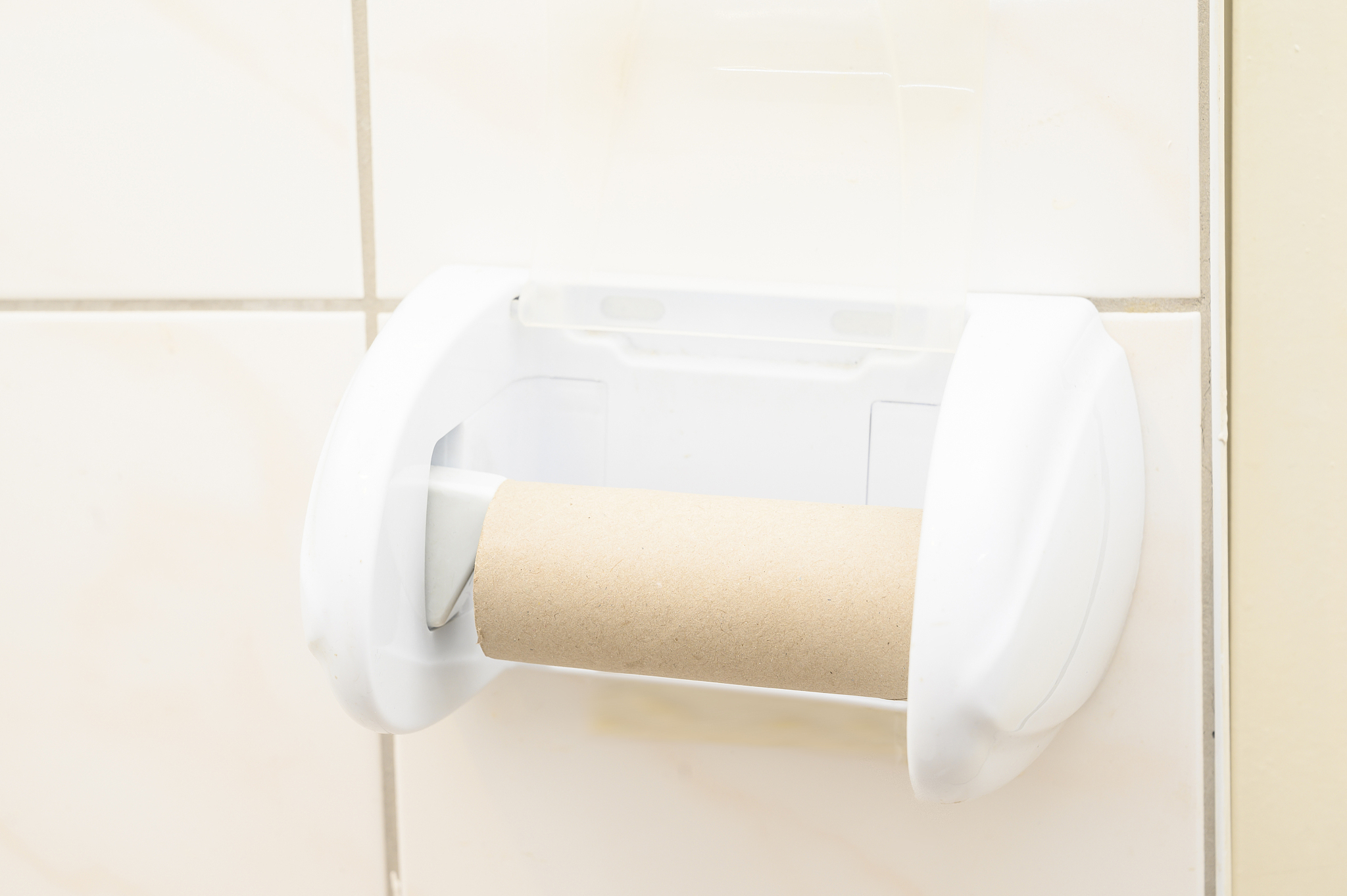empty toilet paper in a wc.