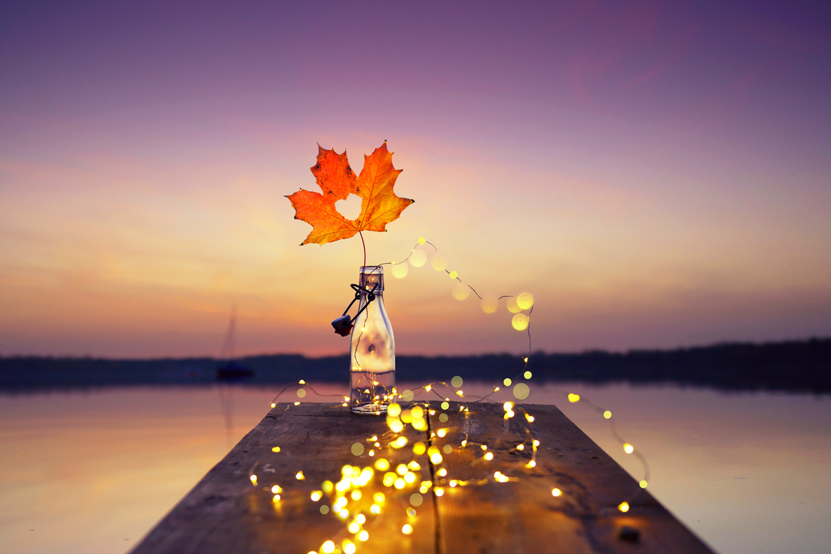 秋风萧瑟枫叶飘舞思念如影随形。