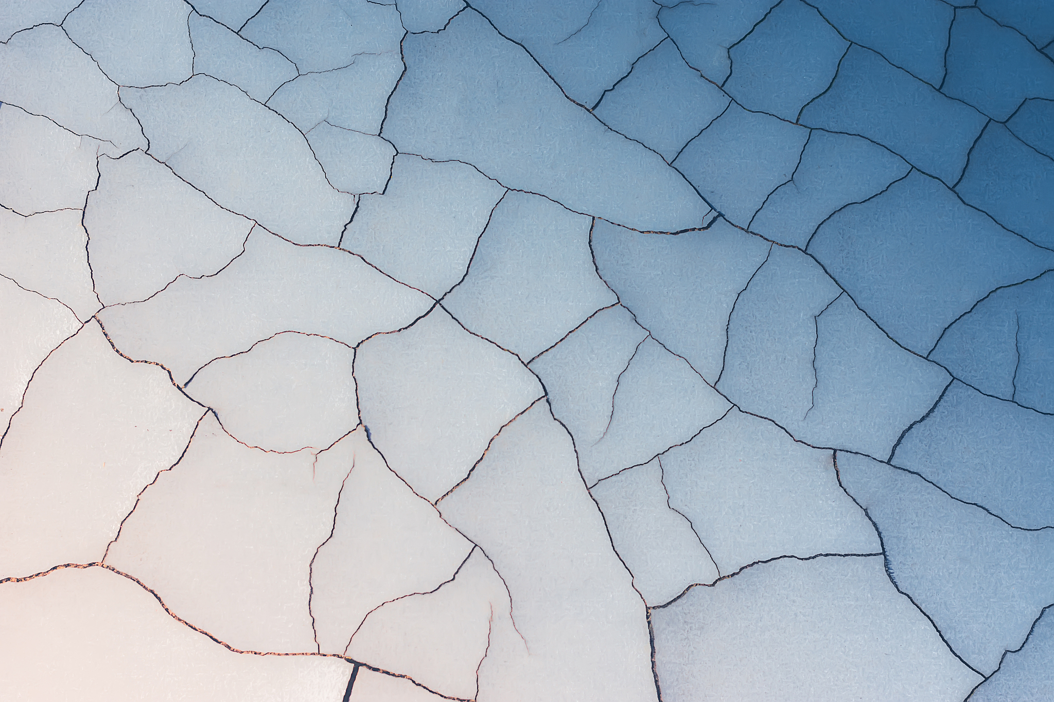 邵阳职业技术学院旅游管理专业可以选择哪些就业方向