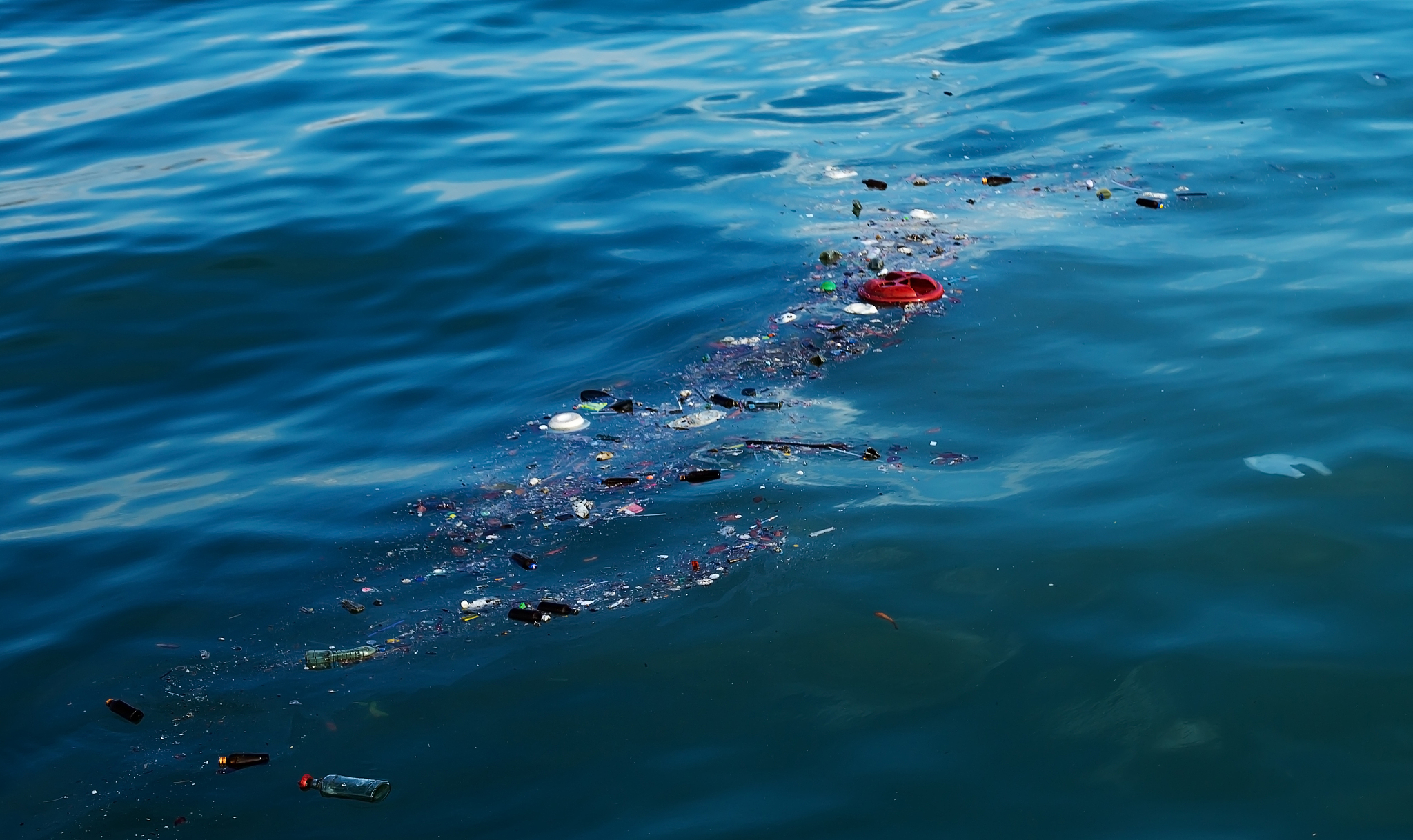 海洋微塑料污染：对生态系统的影响及危害