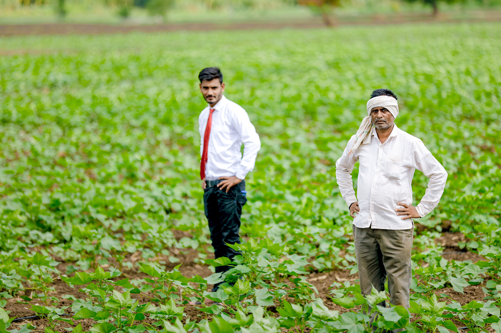 武汉市农业学校哪些专业热门？就业前景分析