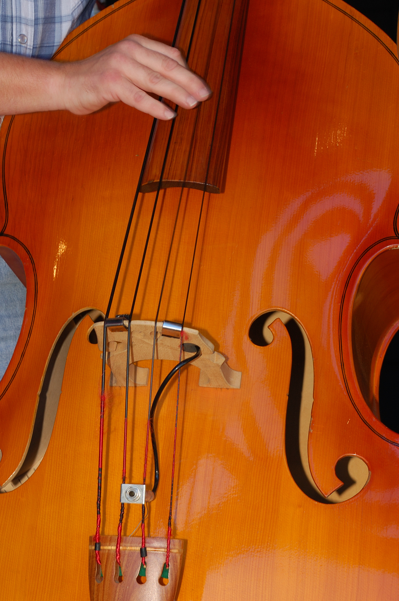 2022年南昌师范高等专科学校音乐教育专业招生