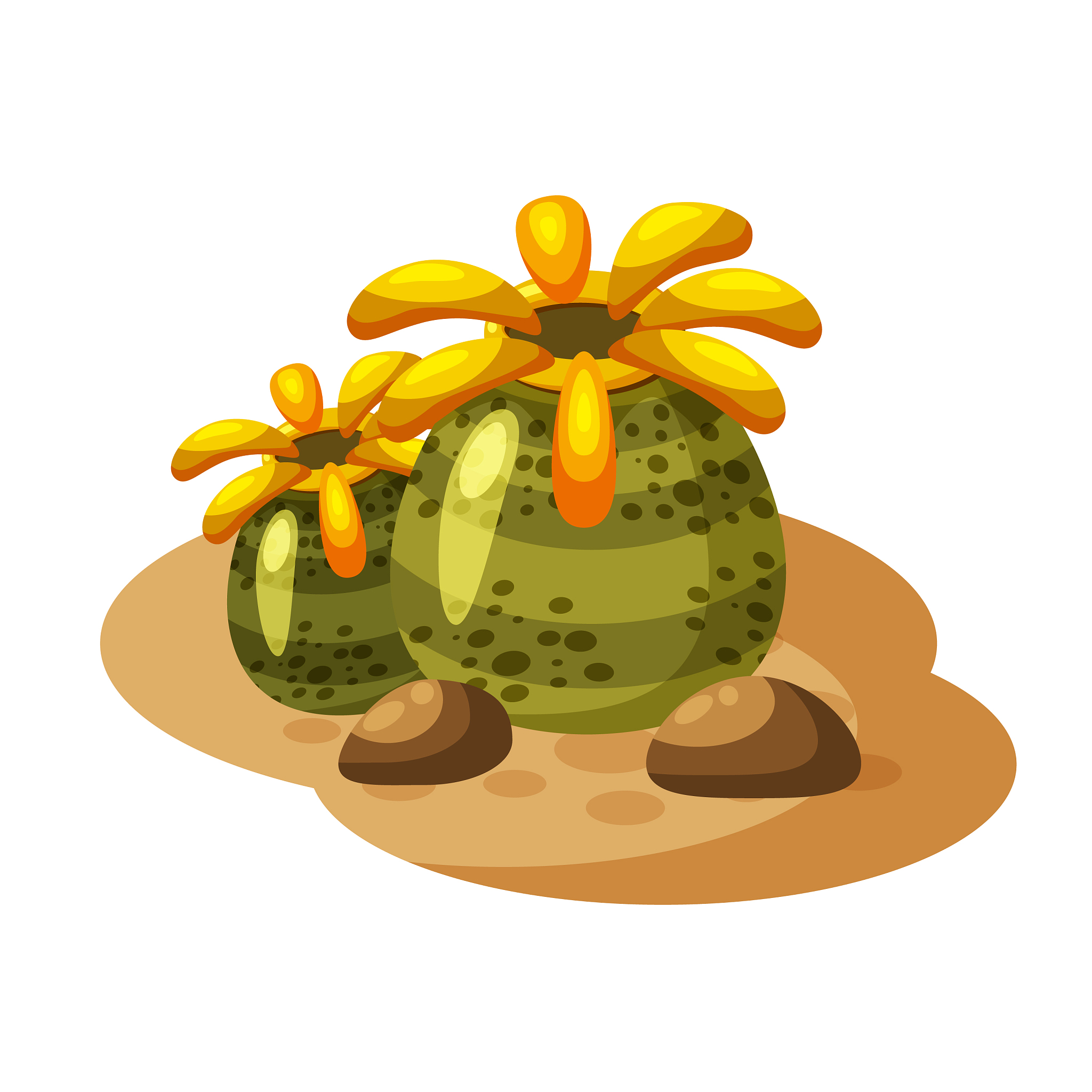 seaweed under water plant cartoon style isolated