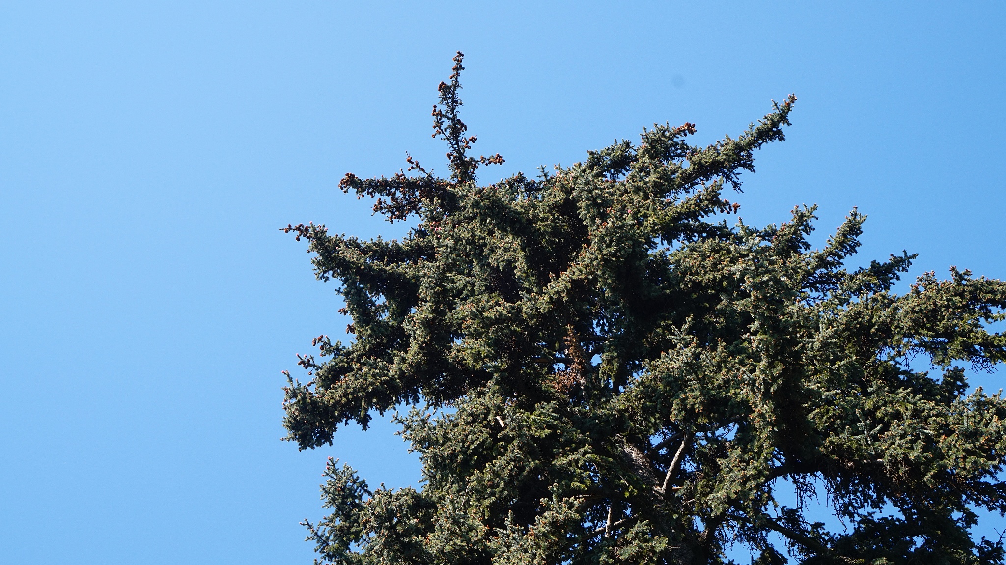 云南省林业学校2022年招生简章