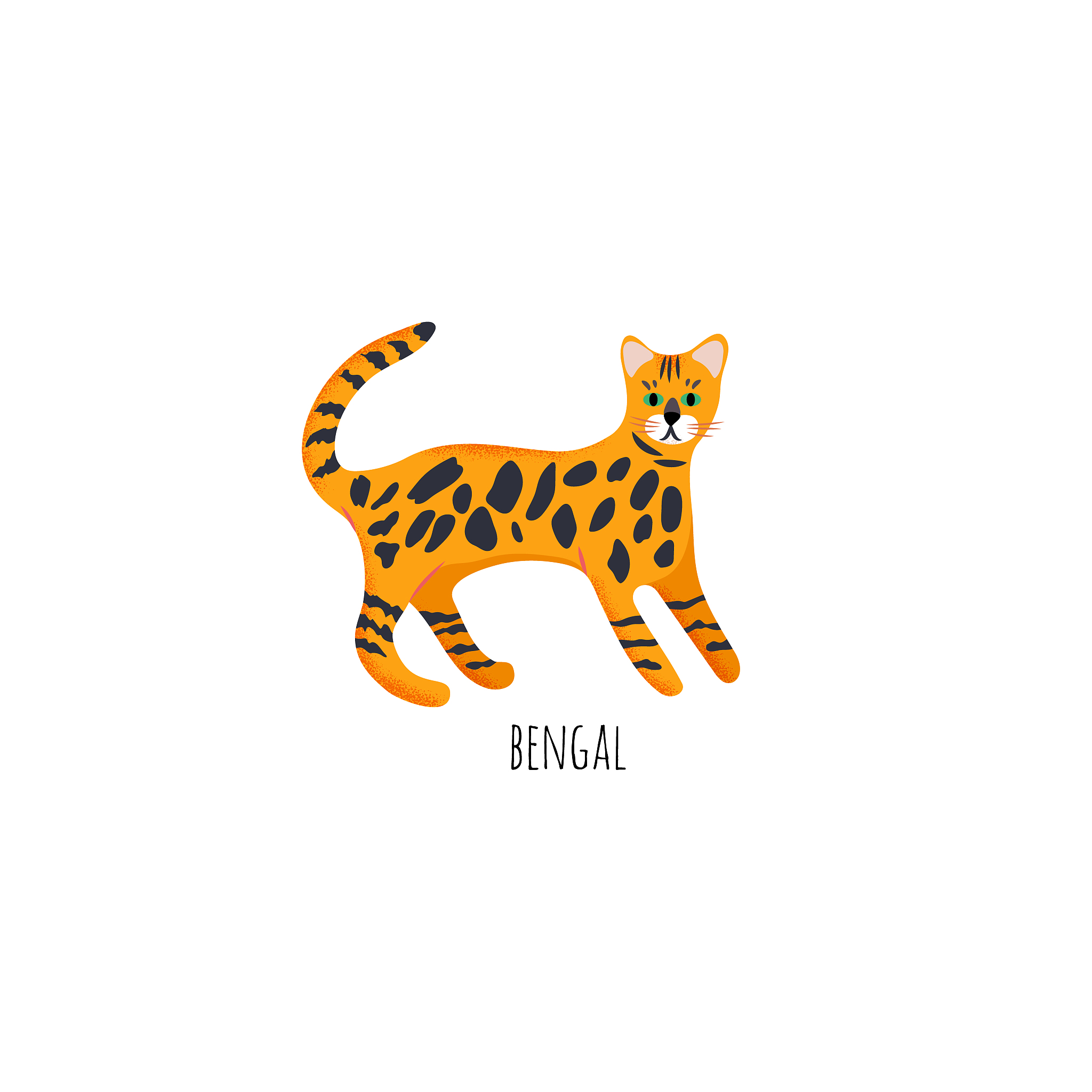 豹猫‘抱抱’IP形象设计：温暖拥抱，呼吁保护