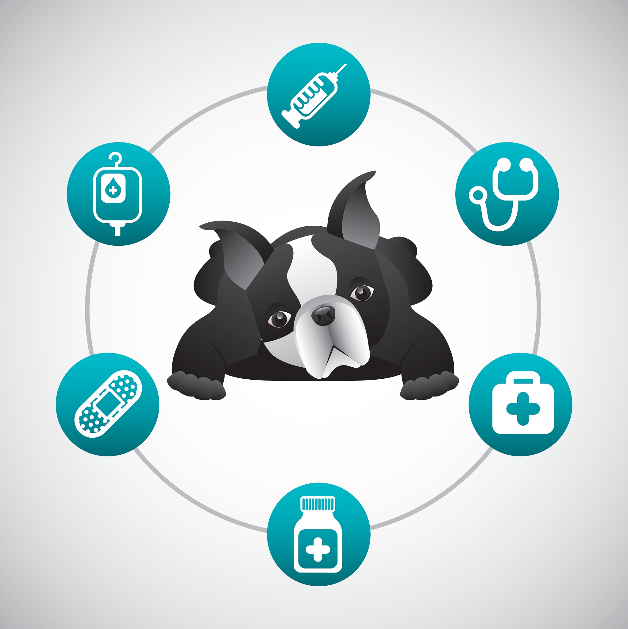 阐述：宠物电商平台平服务链条延伸不足集中在宠物食品、宠物医疗等缺乏宠物社交、宠物保险、宠物健身等服务拓展