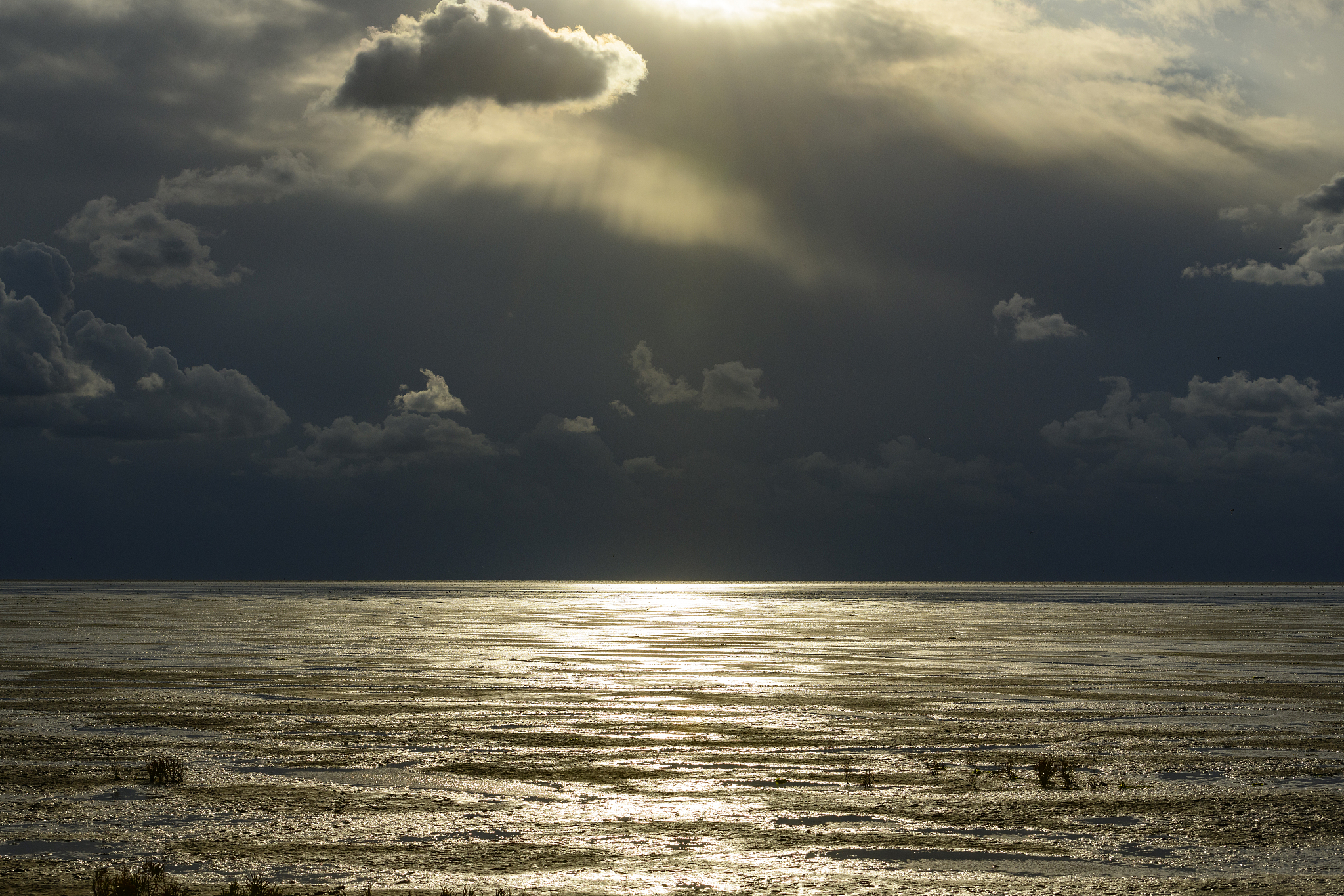 empty landscape in the waddensea nature reserve 'de wadden' with