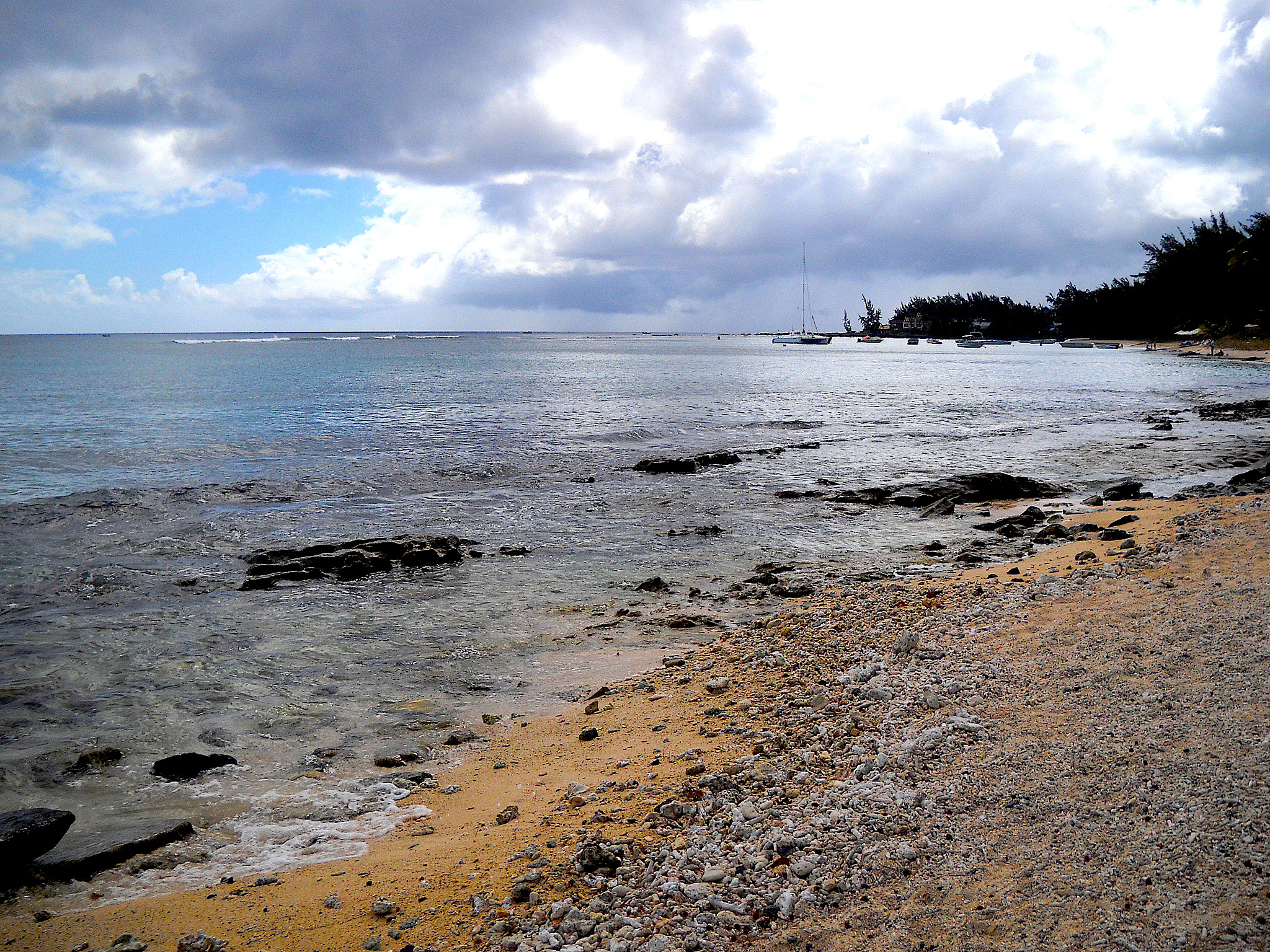 种群监测的方法