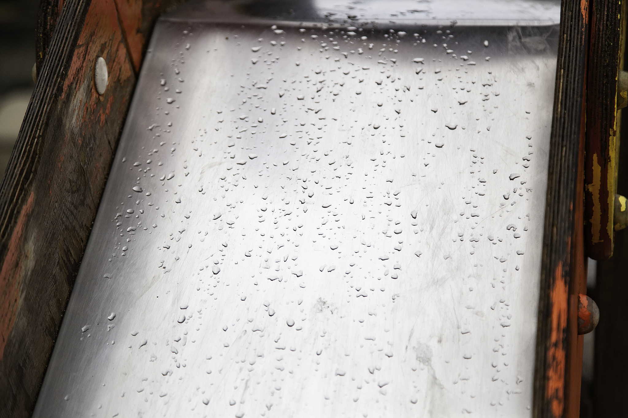 下雨天带给我们的美好体验 | 小作文