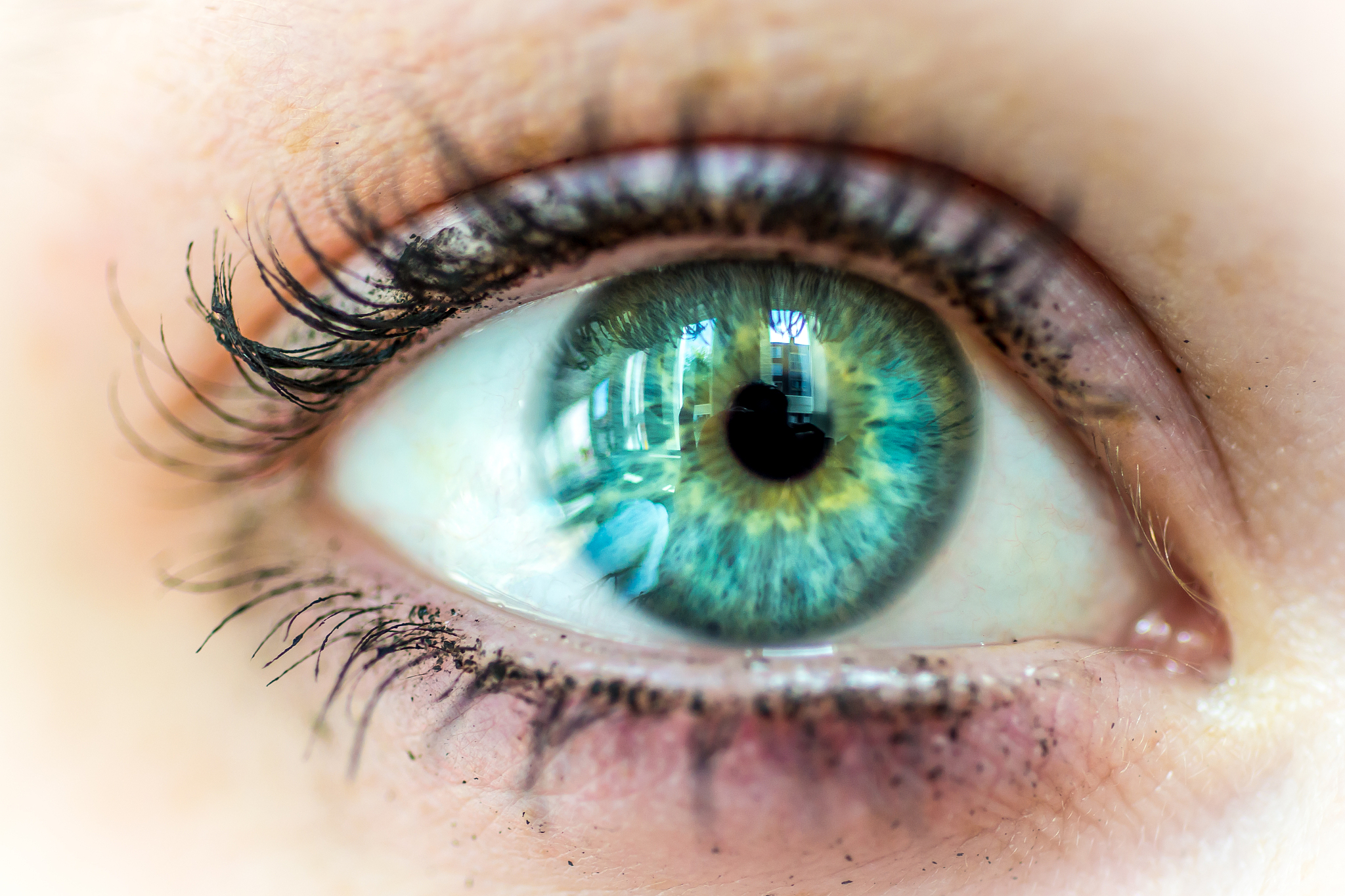 eye macro picture