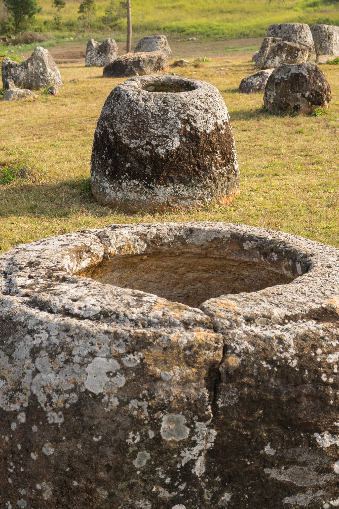 stone jars at the plain of jars