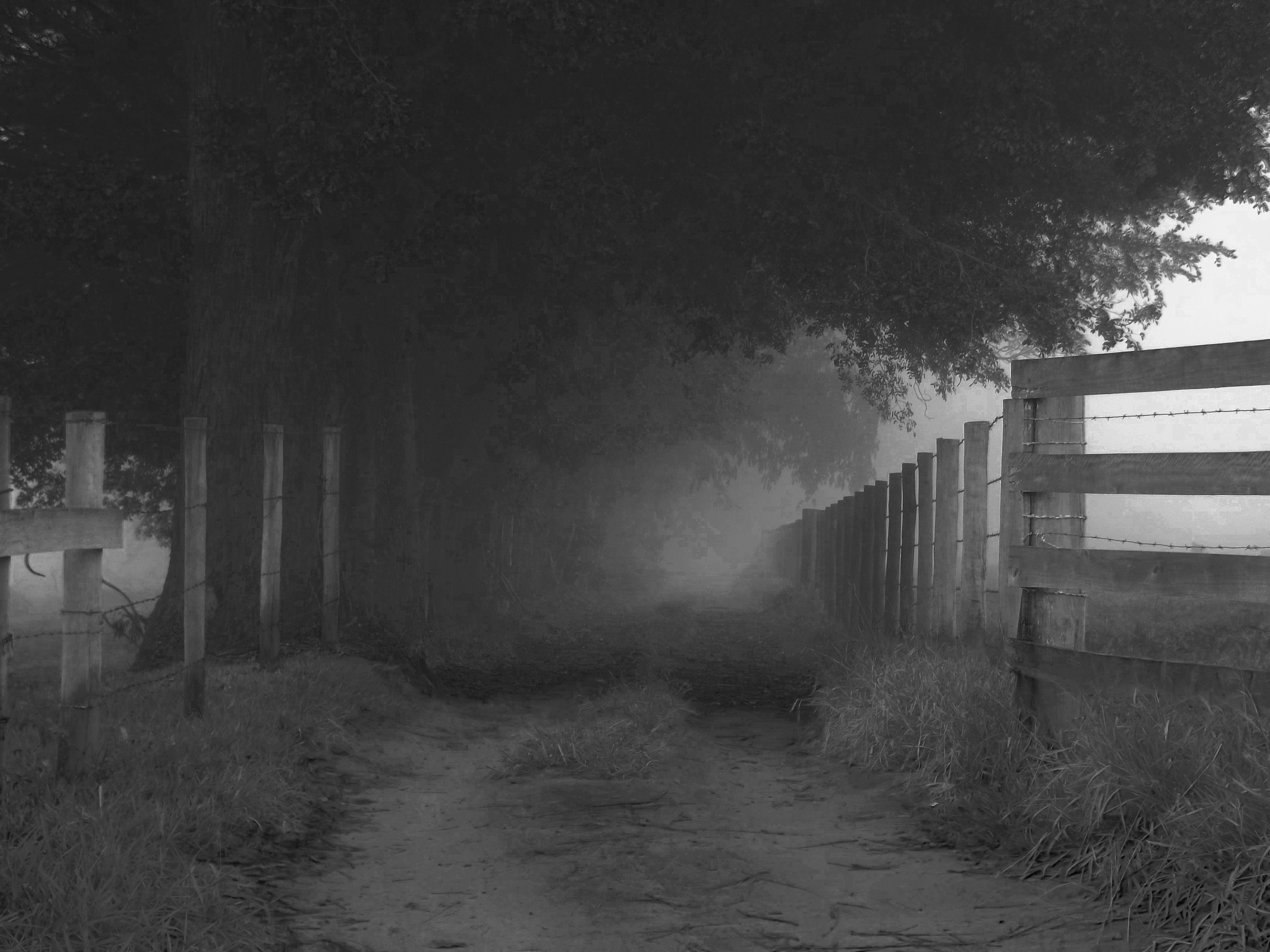 孤独与无奈的废弃城市：一幅无人生命的悲伤画面