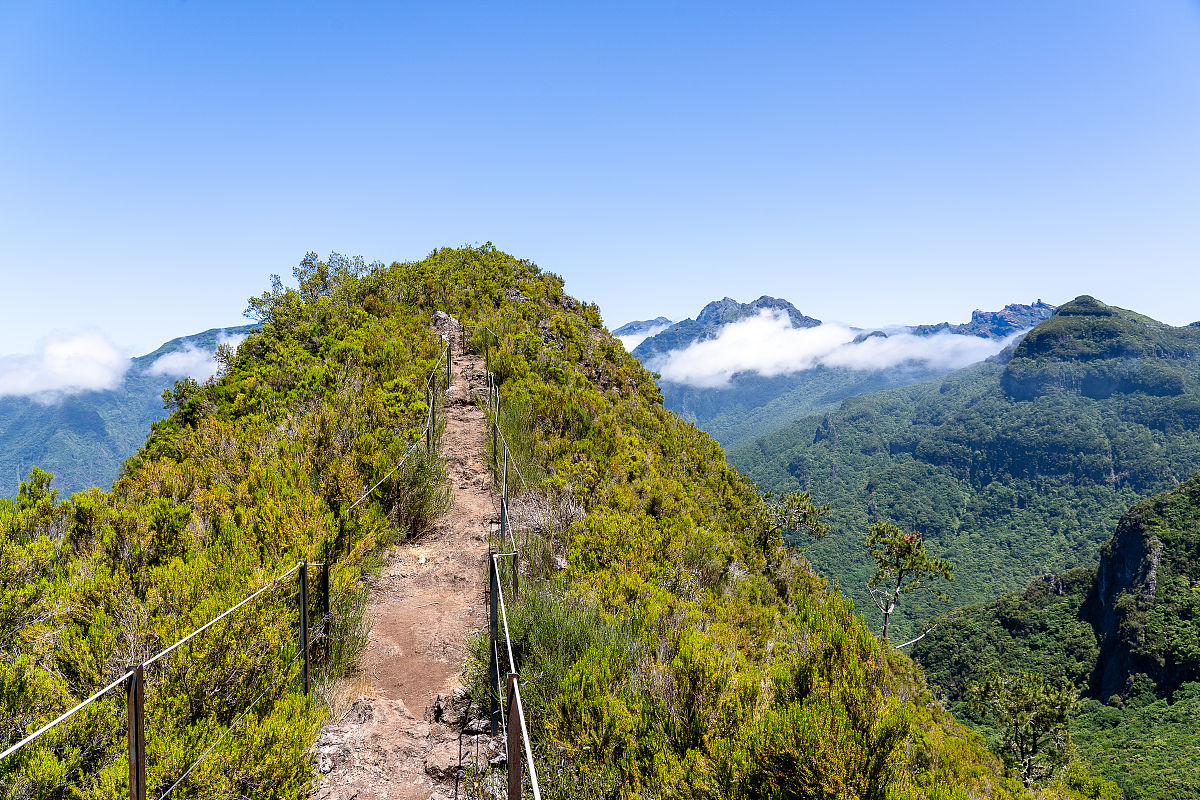 传播学研究的抽样步骤，怎么确定样本量，有公式吗