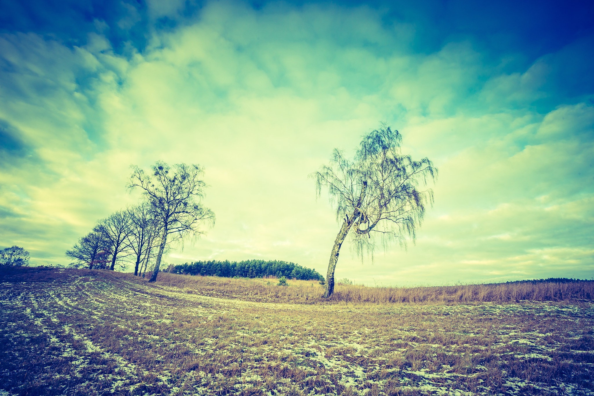 十组意境优美的句子：描绘自然风景与人生感悟