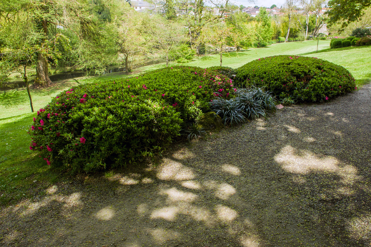 江西灌木种植指南：打造完美灌木群组