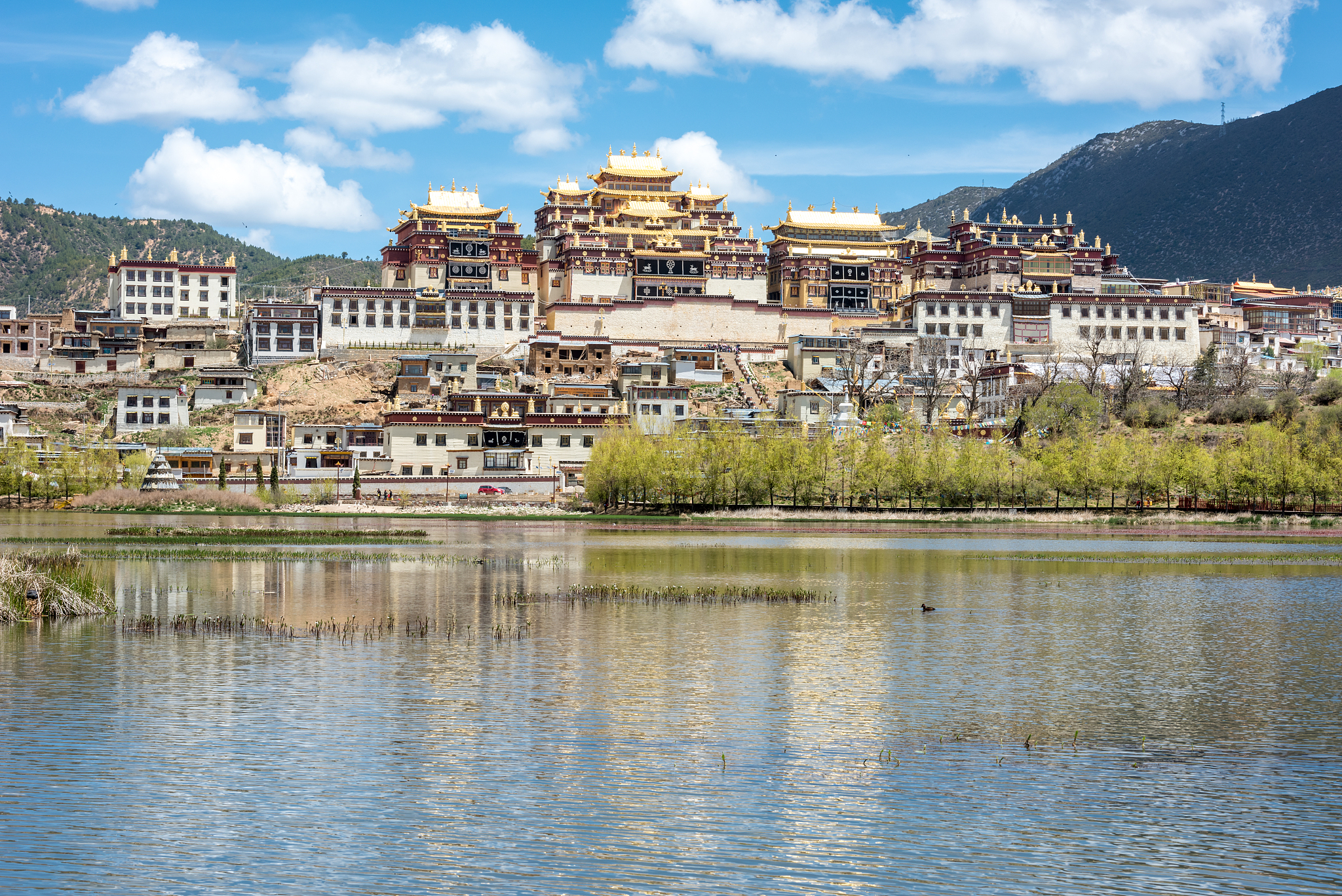 云南省旅游学校2022年招生对象