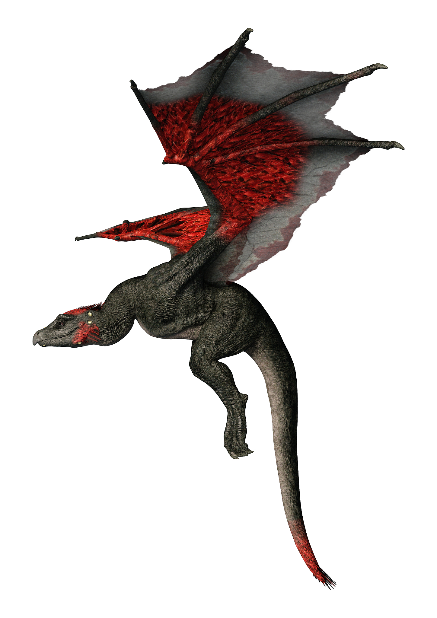 3d illustration fantasy dragon on white