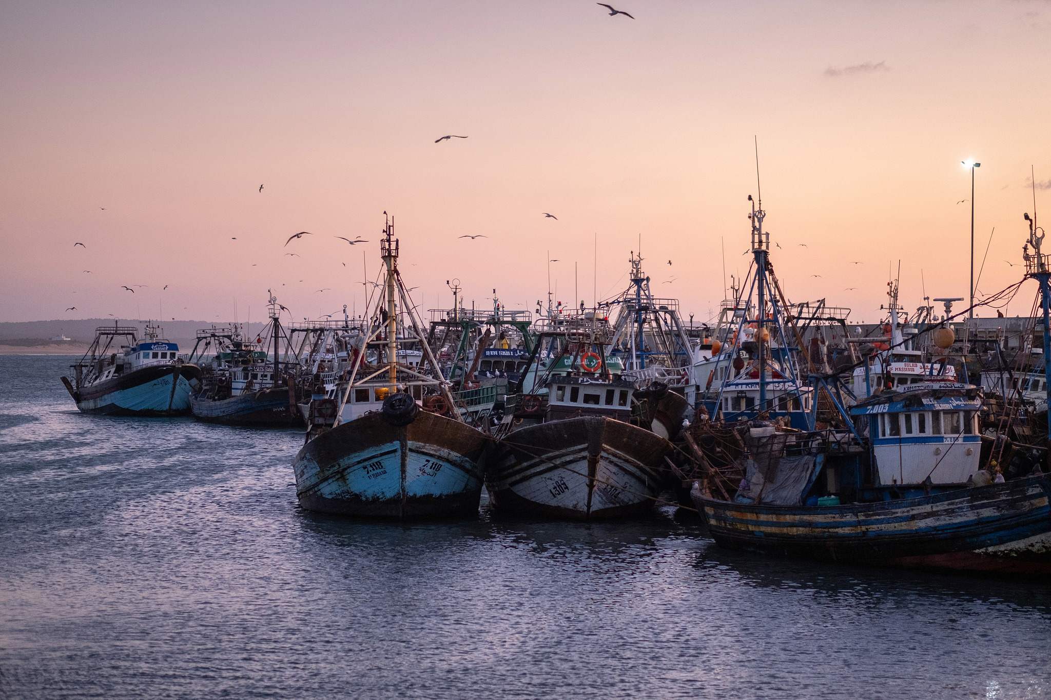 fishing port of essaouira at the sunset time, morocco