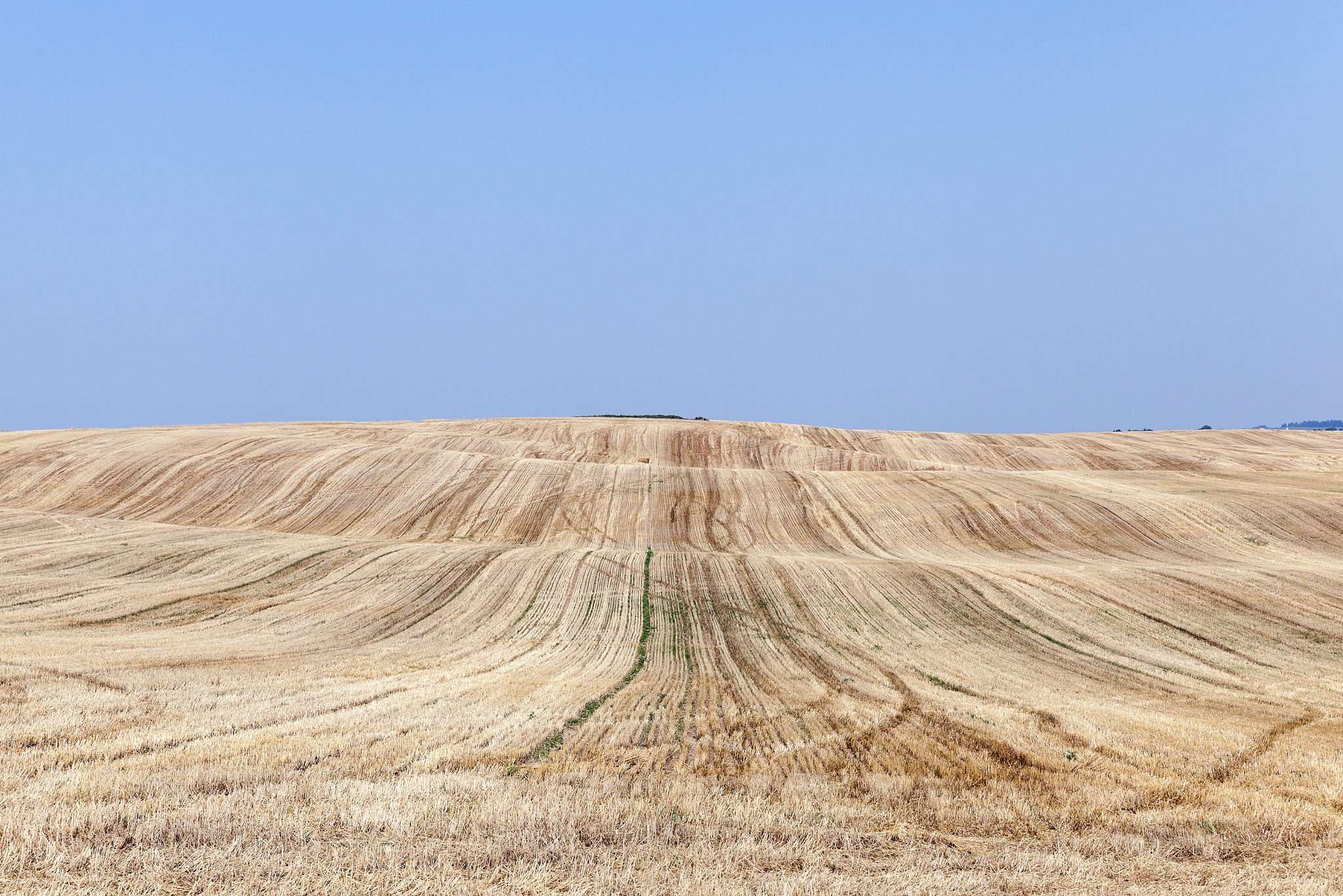 field after harvest