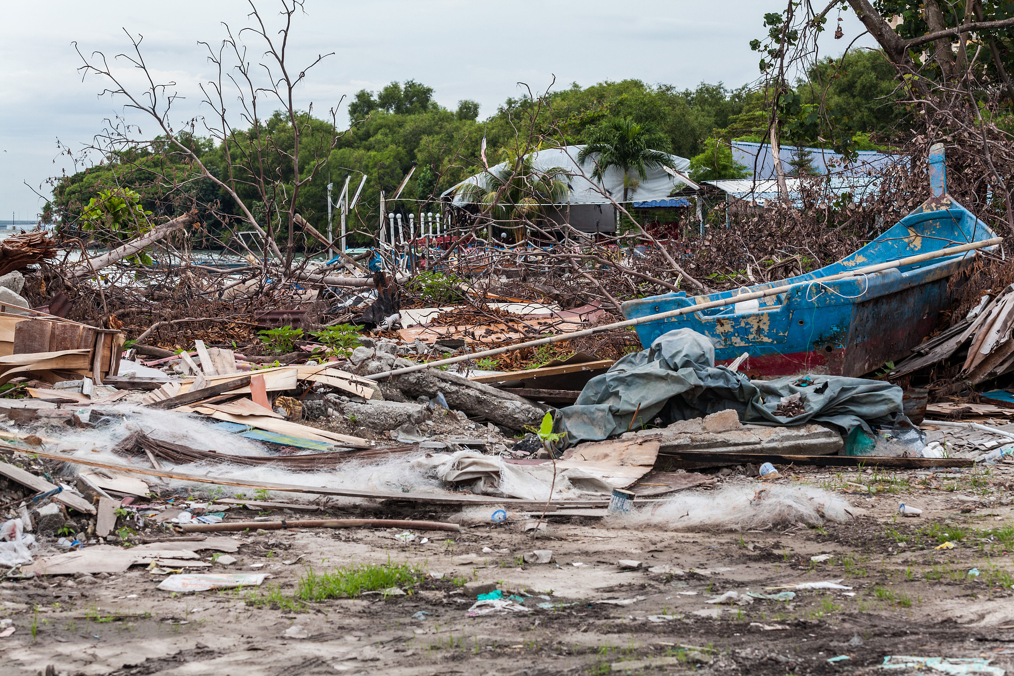 请关于地震波的认识内容300字逻辑清晰