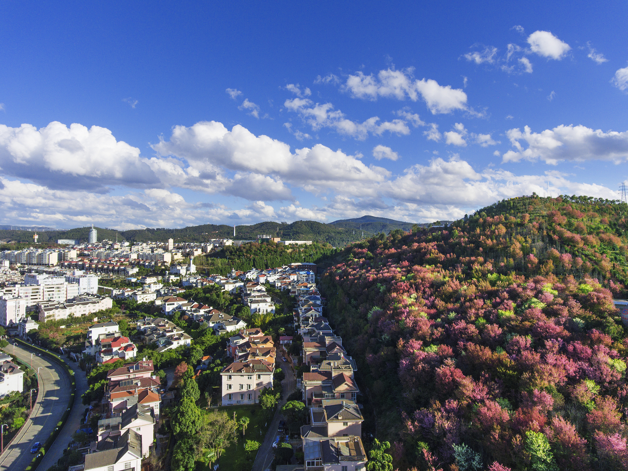 玉溪市中专学校排名top5用