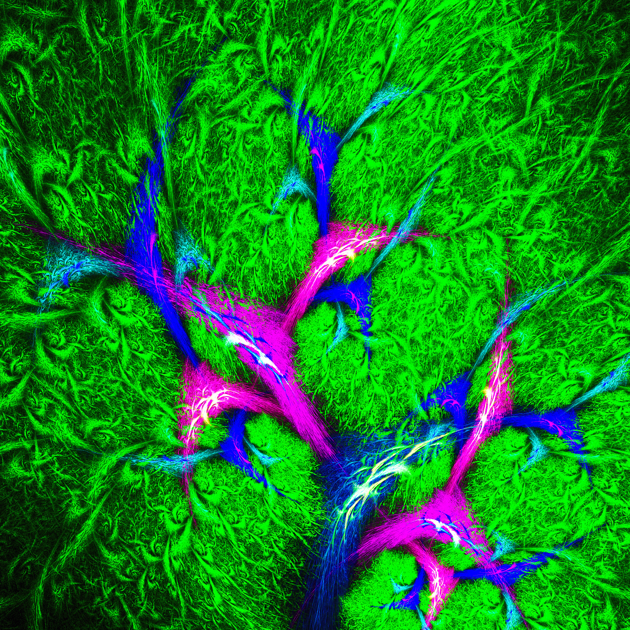 3D点云茎叶分离：方法、算法与分界点识别