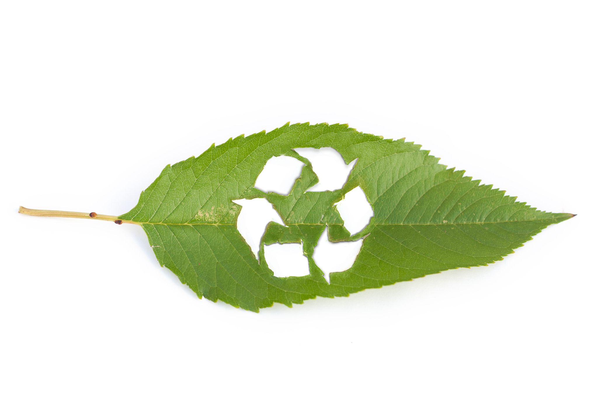 eco