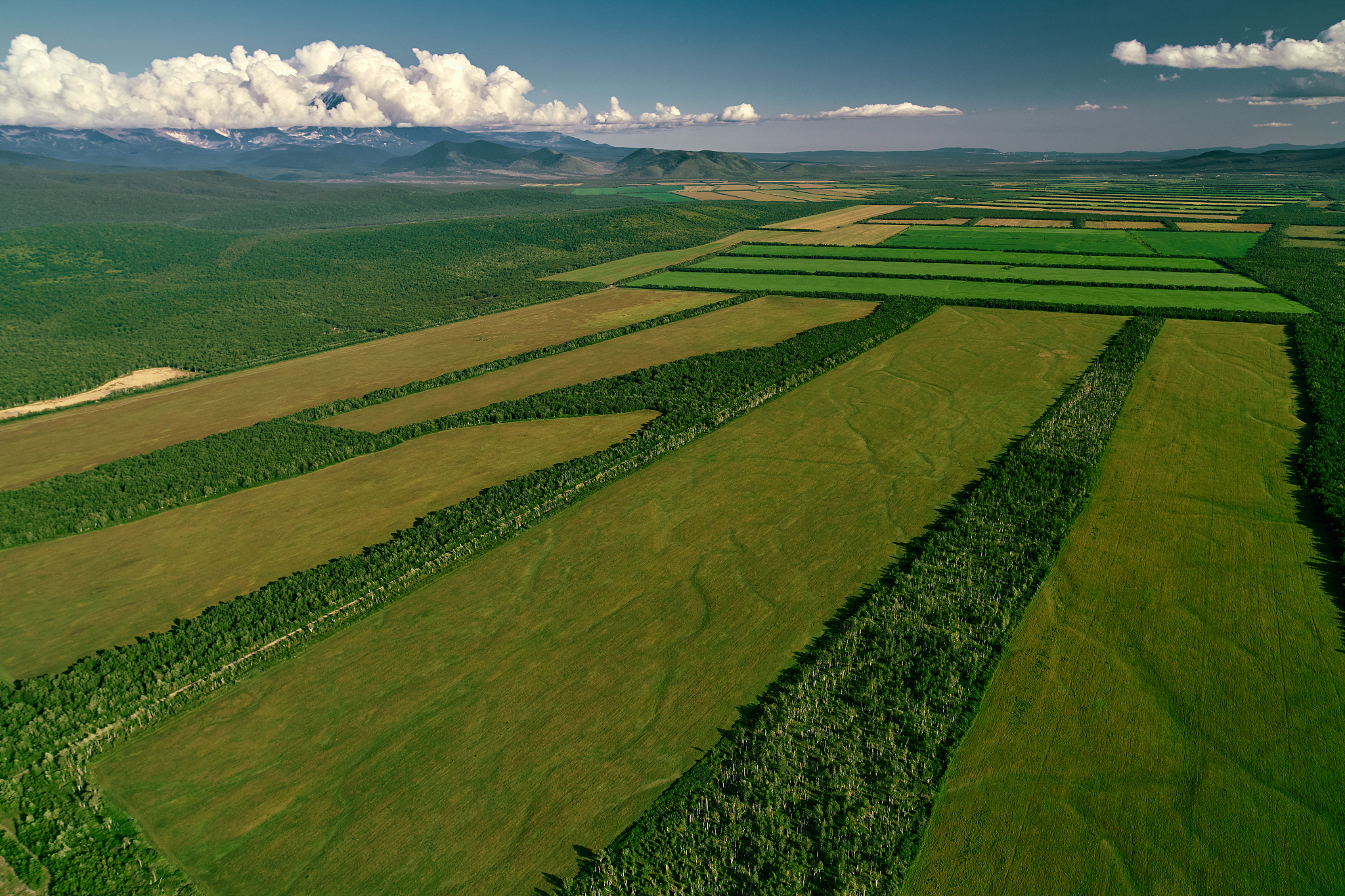 aerial view of farm fields valley in the kamchatka in russia. ag