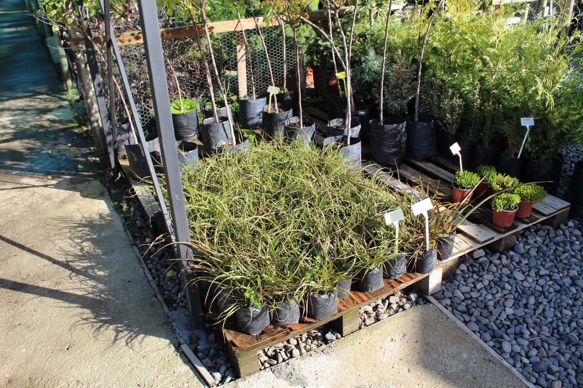 Planters & Raised Beds: Enhance Your Garden Design & Grow More