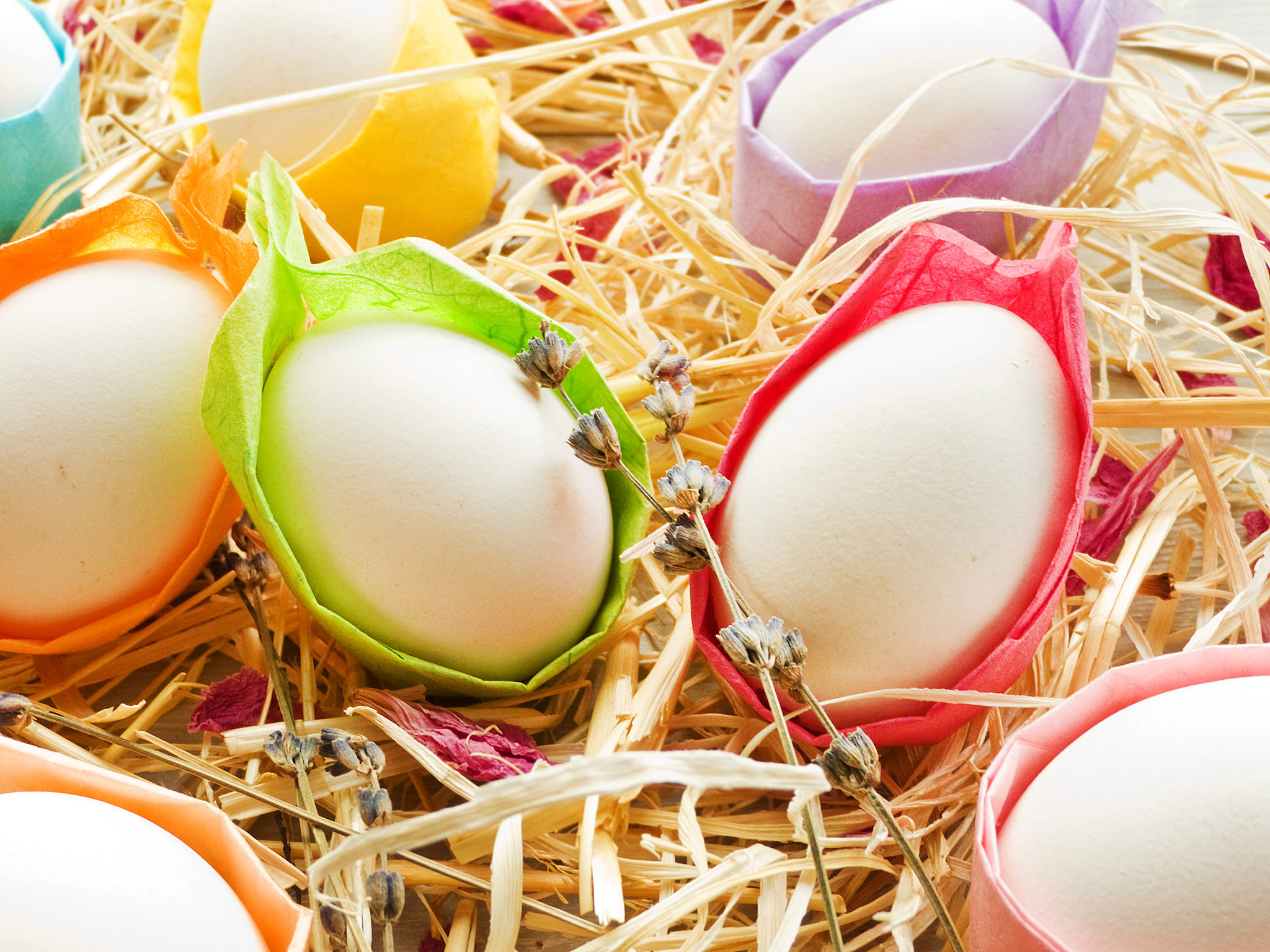 easter eggs