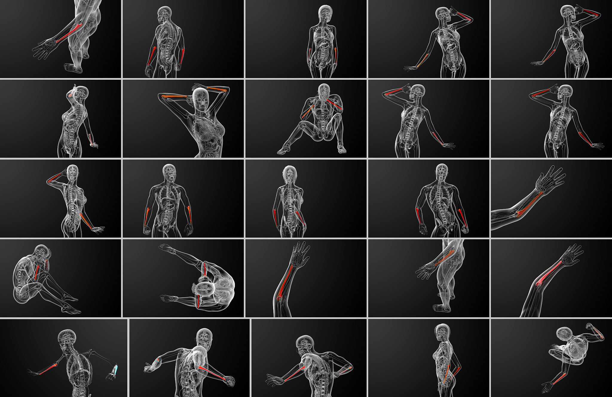 mediapipe 根据文件夹的图片不同文件夹代表不同动作生成人体骨骼角度对应动作的数据集scv的python代码的