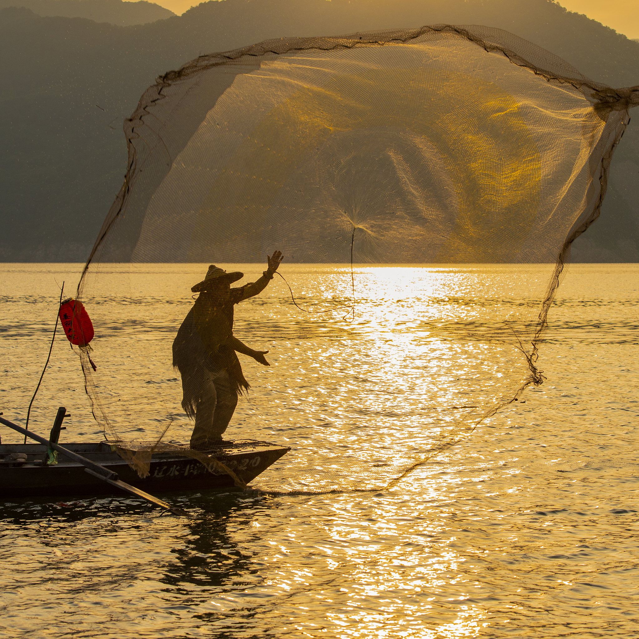写一篇关于见到过最美丽的事物的作文