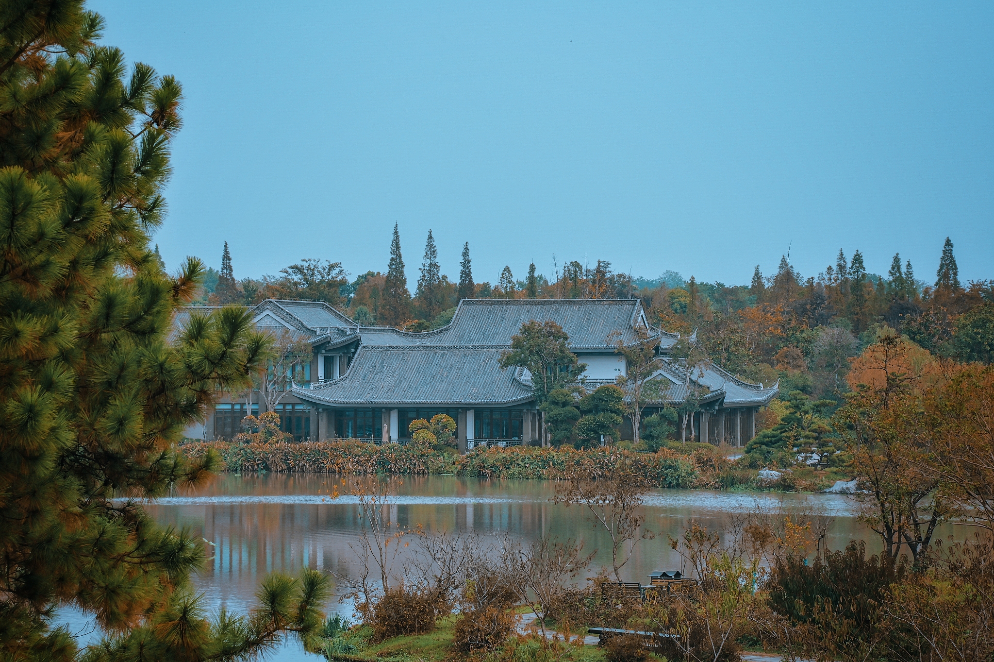 写一首赞美云南大学的诗歌100个字以内