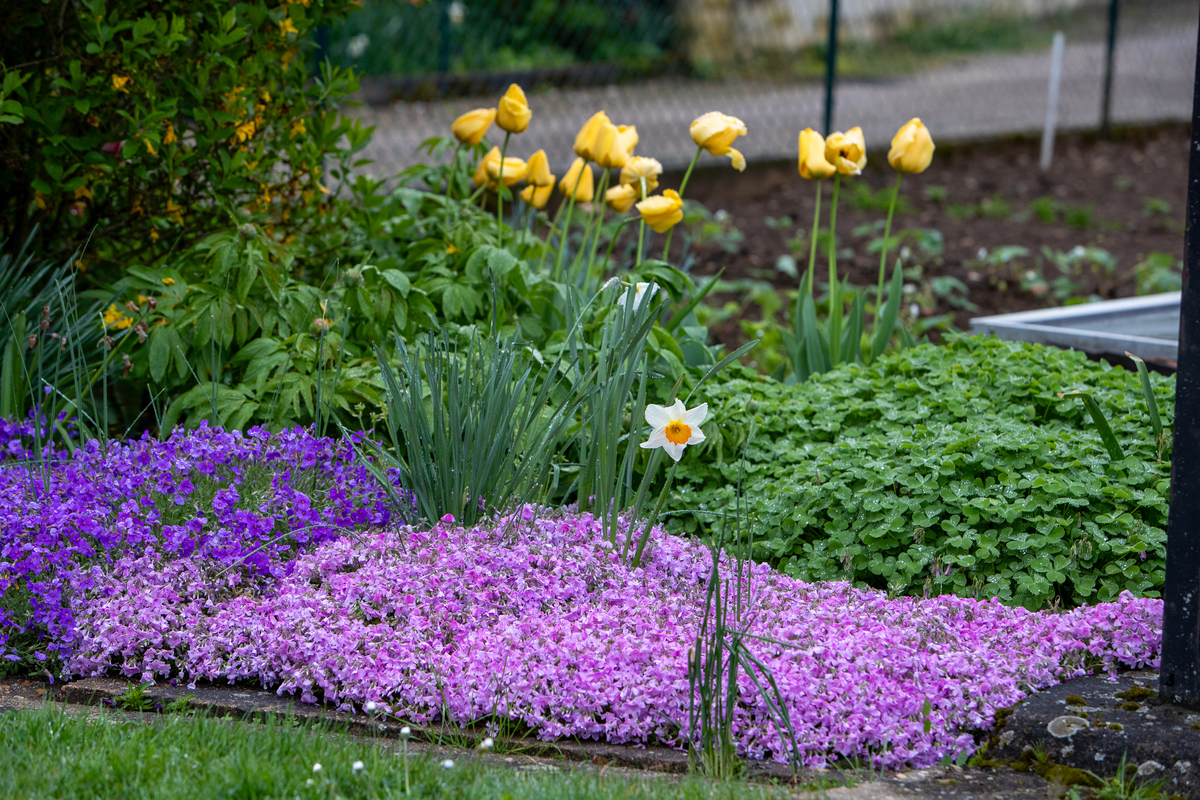 花路的可代替词