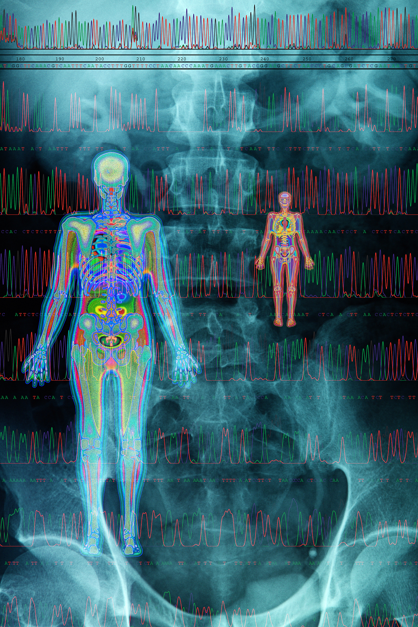 在一个关于某个器官内膜的医学图像分割并识别蠕动波形的项目结题过程中请写一份给甲方的关于项目方法的介绍文档作为示例