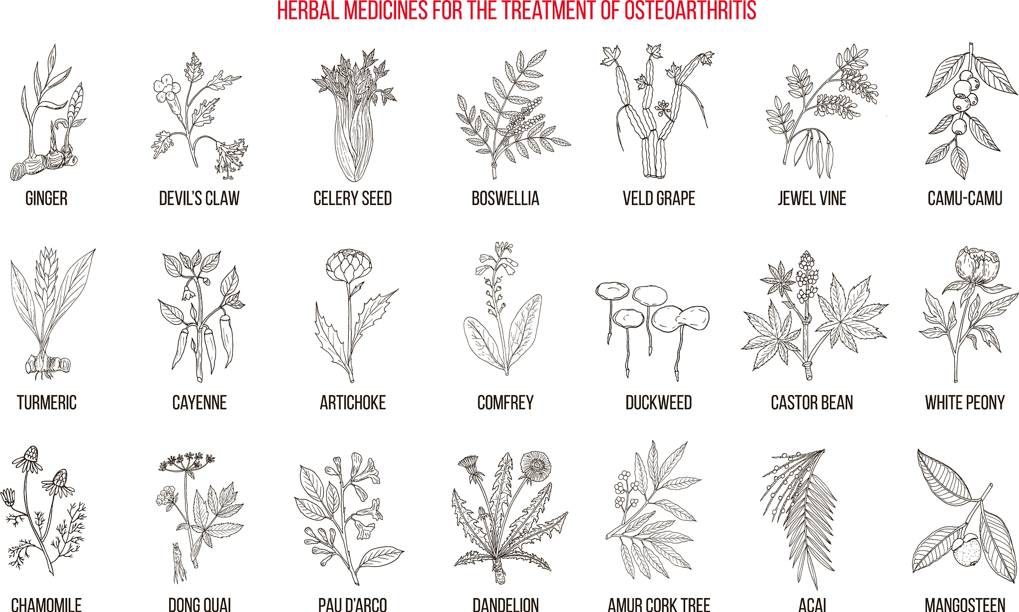 膝盖骨关节炎疼痛药物治疗方法