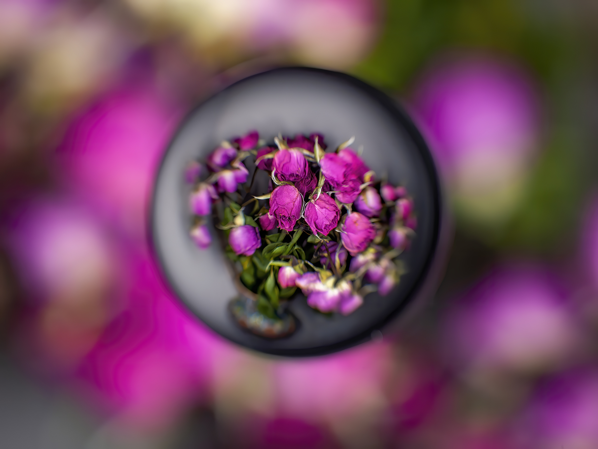 长沙文理专修学院2022年3+2五年制大专招生简章